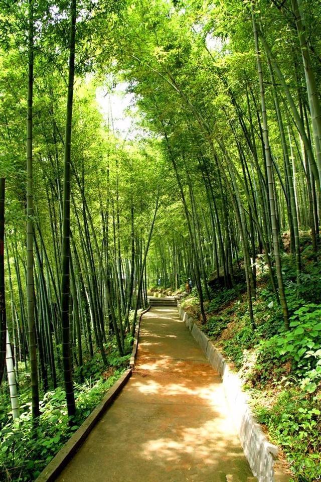 比黄山人少, 比华山秀美, 河南私藏了这个低调的世外桃源