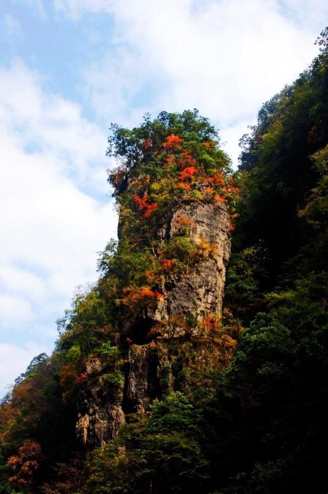 巴中市是四川最穷的市吗?