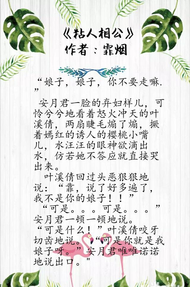 言情推文:推一波男主冷酷无情,只对女主温柔腹