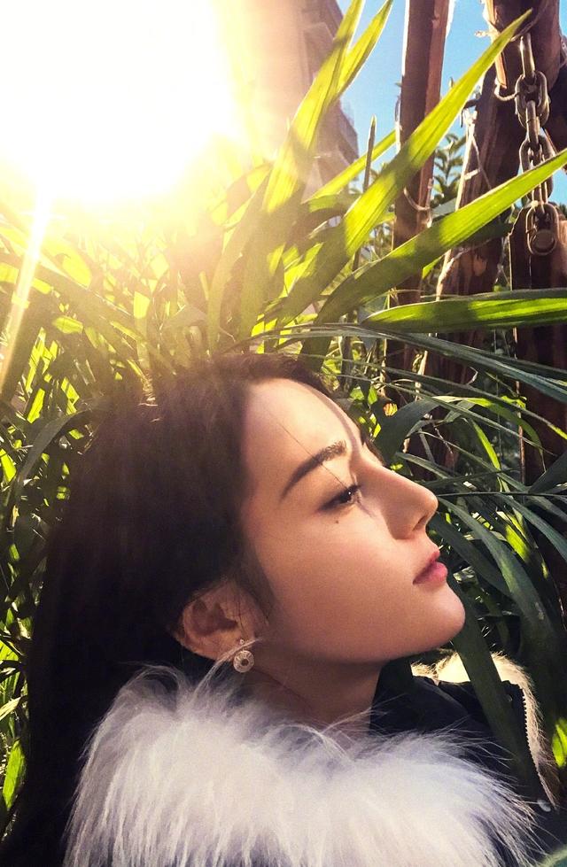 娱乐圈四位鼻子很好看的女明星,美到你无可挑剔