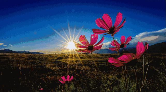 川西租车三日游:成都到木格措线路规划及费用