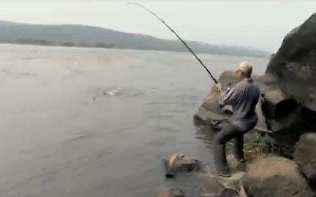 老渔夫野外钓鱼险被大鱼拉入水中, 拉上岸发现竟是这个大家伙