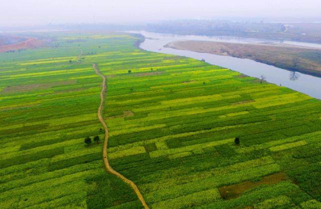 涨知识:一亩地、一分地、一平方米之间的换算