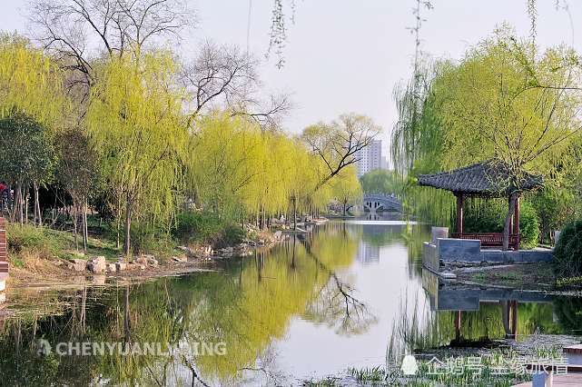 菏泽市绘就未来三年发展前景:建国家森林城市