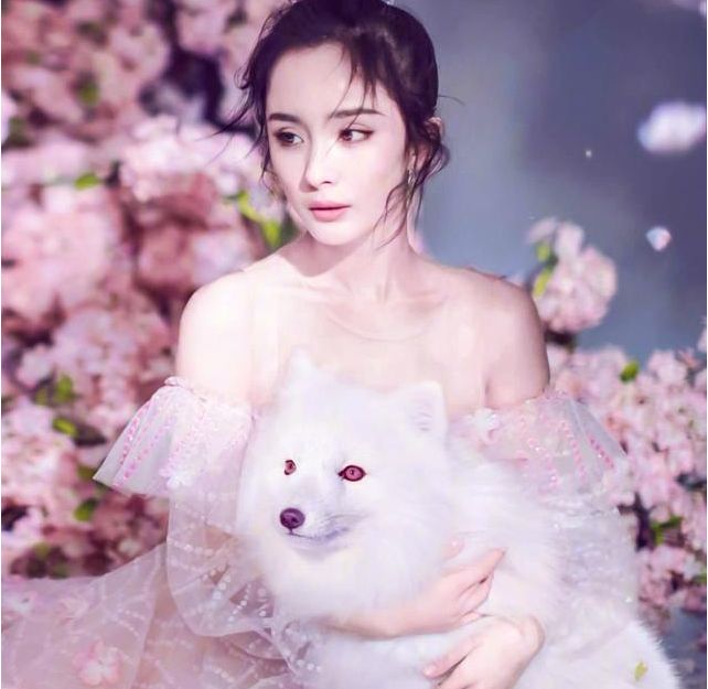 杨幂再现三生三世十里桃花,四海八荒第一美女 网友:已被撩到!