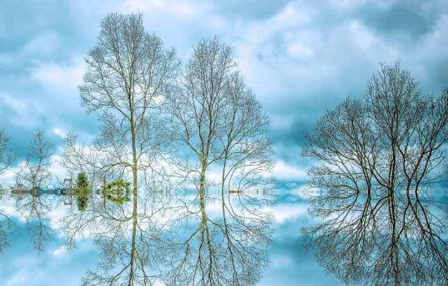 七条人生的感言--不怕学问浅《就怕志气短》