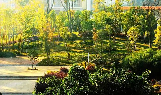太a学校!2017昆明新增11所学校v学校高中,你最看高效高中英语课堂教学模式图片