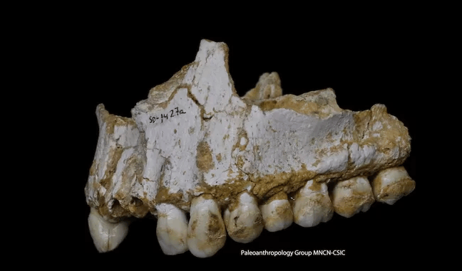 中国人至少有1%尼安德特人基因,他们长啥样?