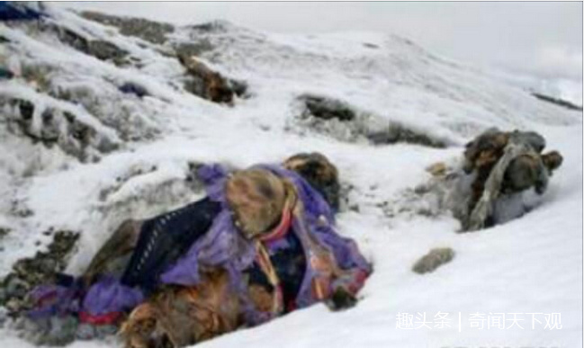 上珠峰那些绳索谁系的