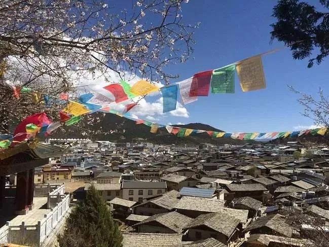 云南16个州市酒量排行榜!排行倒数的曲靖人表