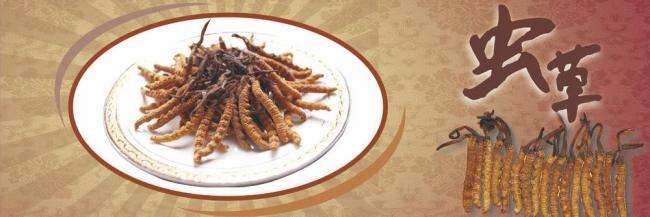 冬虫夏草2017年量价双升 青海迎来行业大年