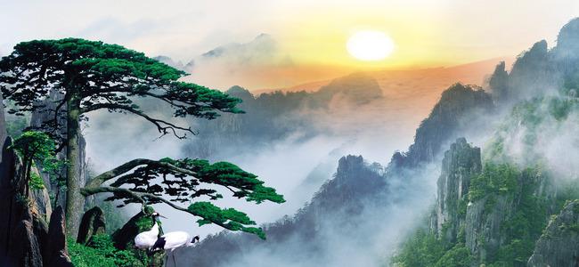 中国最古老的10棵大树，最后一棵活了5000多年！