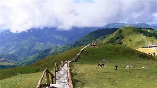 云南16个州市酒量排行榜!排行倒数的曲靖人表