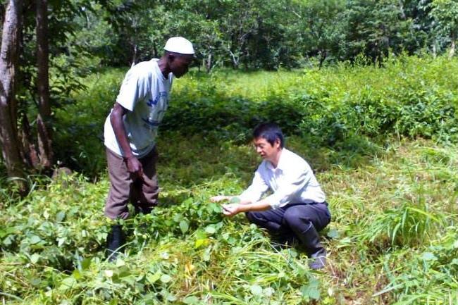 黑人没人种蔬菜中国人去非洲租地雇非洲人1年成立企业