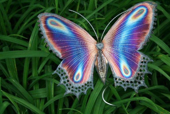 珍   惜动物,但是,这些   漂亮   的蝴蝶   仍   然   频频   惨遭毒