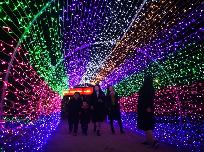 西安年·最中国 春节期间,泾河新城举办丰富多