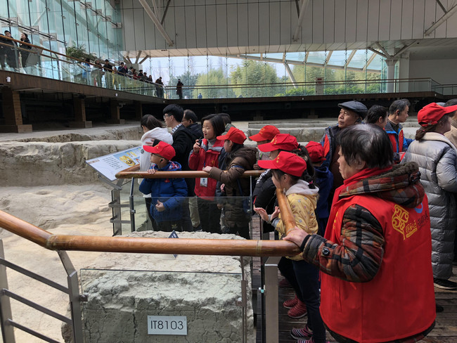 凝望古蜀文化 感受魅力金沙