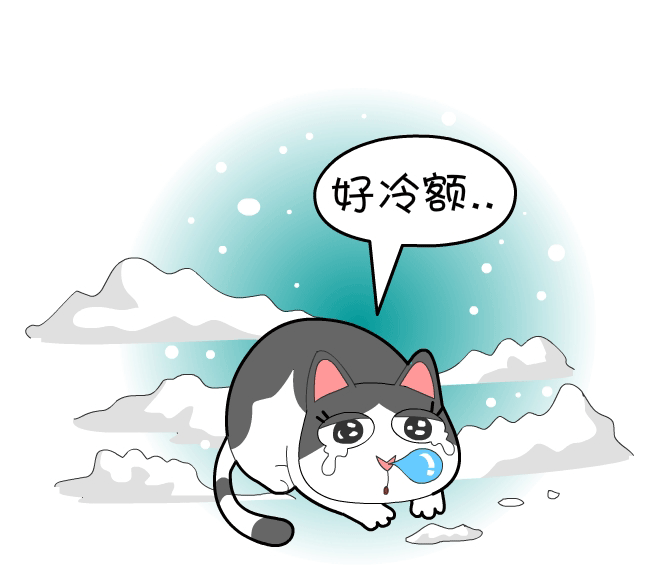 据说,60%的流浪猫消失在冬天