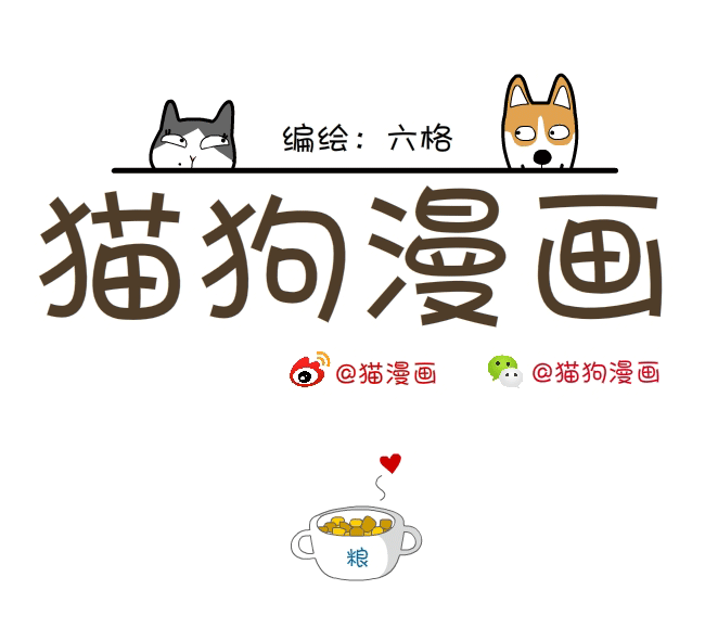 猫狗漫画:取钱遇劫匪自救办法,5秒学会