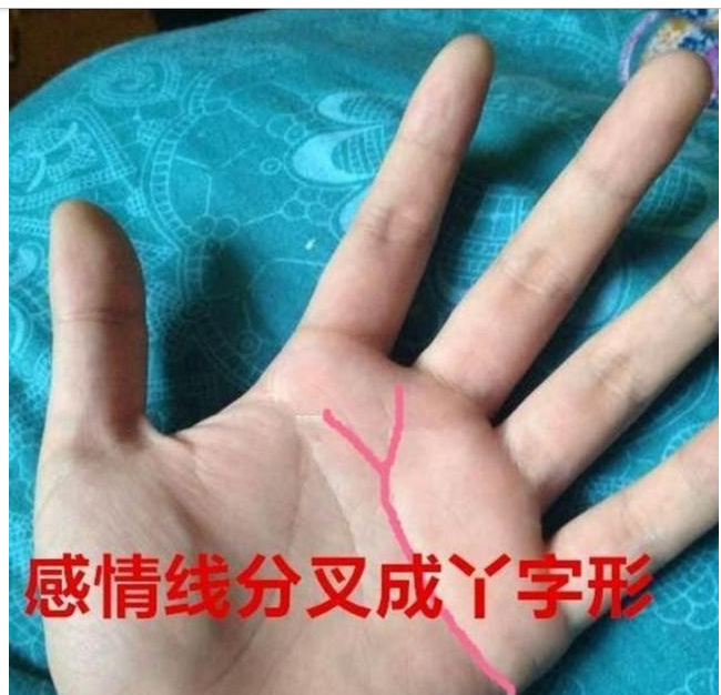 "这种"手相的人了不得!女必嫁贵夫,男必娶旺妻