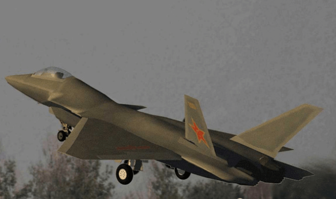 鹰和隼枭雕鹞有啥不一样 北极鸟类十大排行