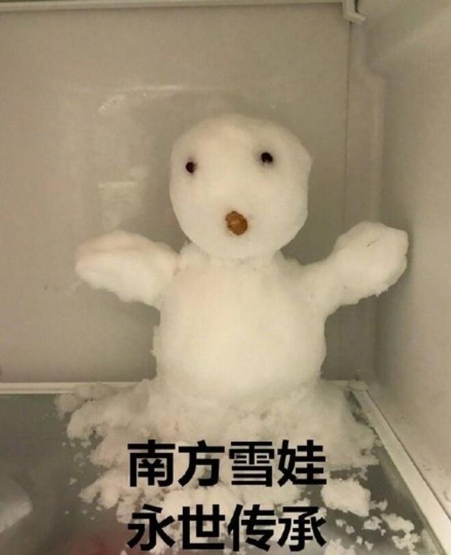 南方姑娘开冰箱显摆宝贝,网友笑了:南方人看到雪有多兴奋?