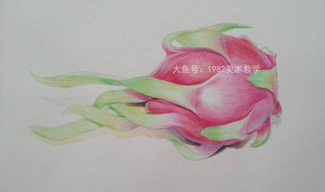 彩铅绘画课堂 第一节. 火龙果