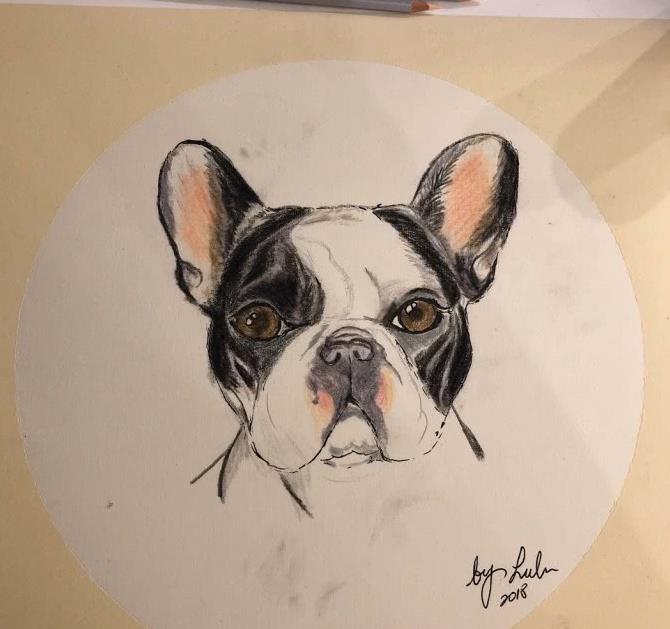 李小璐更新ins晒狗画写情诗被质疑暗示PGone,随后秒删!