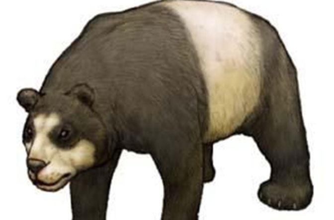 大熊猫祖先是蚩尤坐骑, 六神兽排名第一, 从巨凶