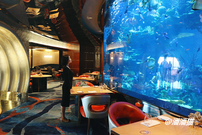 阿联酋7个酋长国全景游 | 迪拜·这里没有什么