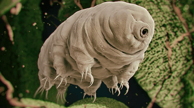 人类可以捏死手上的细菌吗? 科学答案让人哭笑不得, 不信你试试!|细菌 