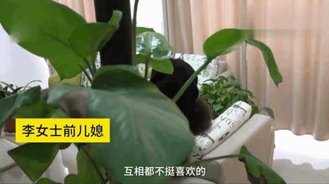 女子结婚才3天就闹离婚,收20万彩礼钱不愿归还