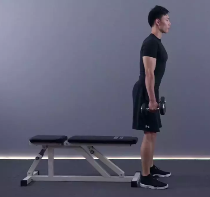 【动作教学】哑铃箱式深蹲,教给你