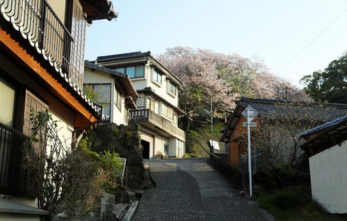 日本长崎|这座静静的小城,每年都有规模最大的