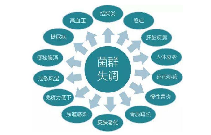 益生菌:腹泻,便秘,胀气,口臭等都是肠道菌群失调惹的祸!
