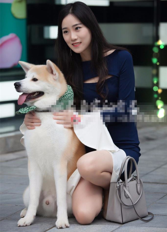 街拍:大美女和狗狗拍摄温馨合影