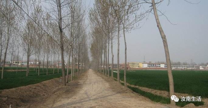 很多汝南人不在农村住了,为什么还要在老家盖