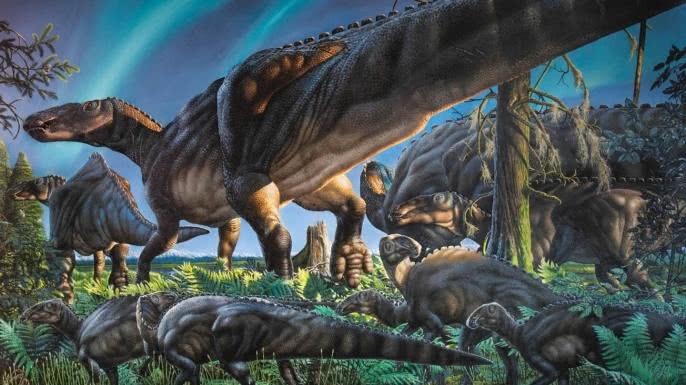 几千万年前,世界最大的恐龙,生活在山东省这个地方