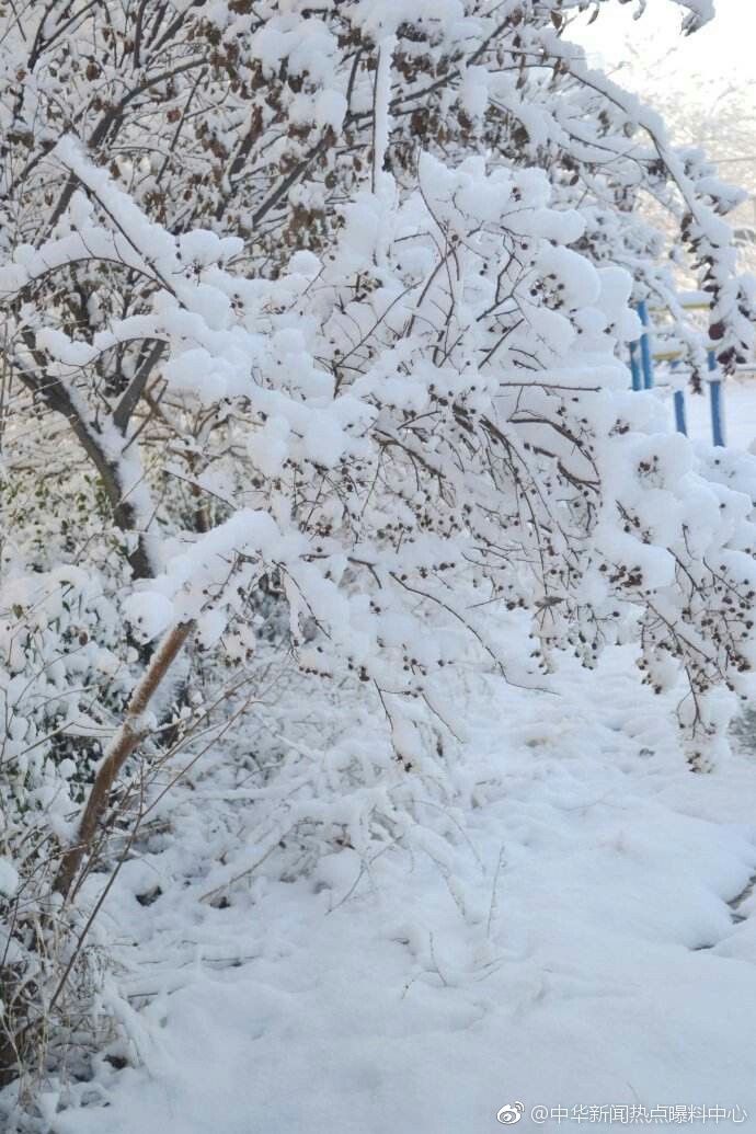 安徽富婆倚财仗势深夜私闯民宅损坏他人财物并