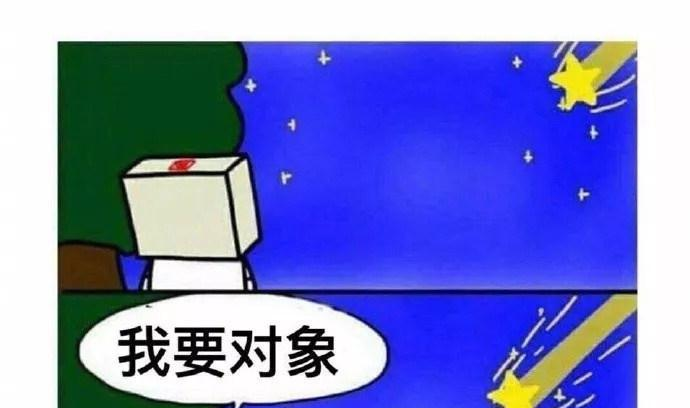 新的一年, 你许愿的时候, 考虑过流星的心情吗?