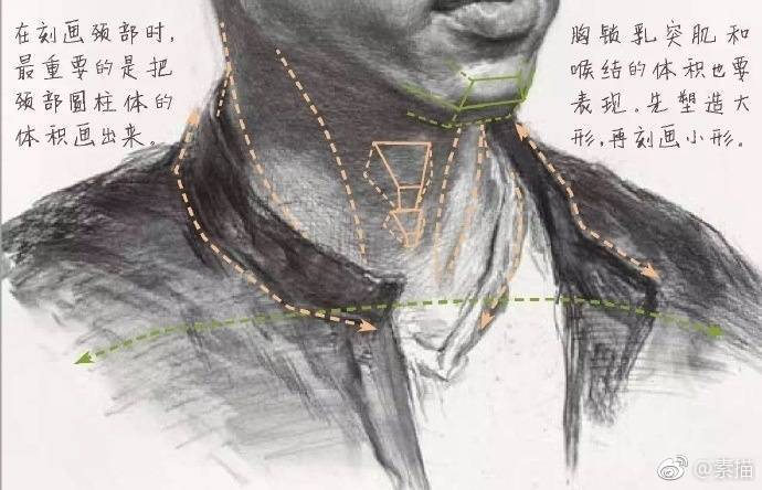 素描头像中额头和脖子是美术生最最容易忽视的地方,所以结构很重要