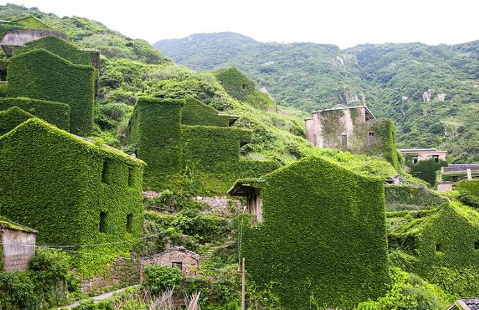曾经号称浙江小台湾,如今植物将它吞噬,成无
