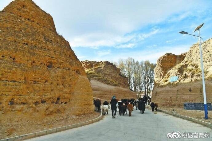 陇原古迹影像志丨全国重点文物保护单位——甘加八角城城址