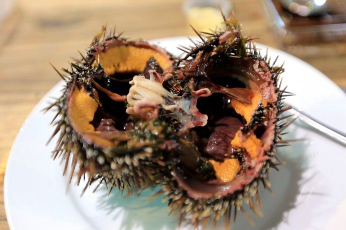 游新西兰奥克兰海鲜市场,吃超大龙虾、海胆和