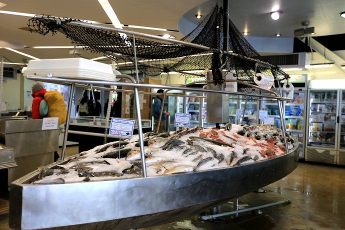 游新西兰奥克兰海鲜市场,吃超大龙虾、海胆和
