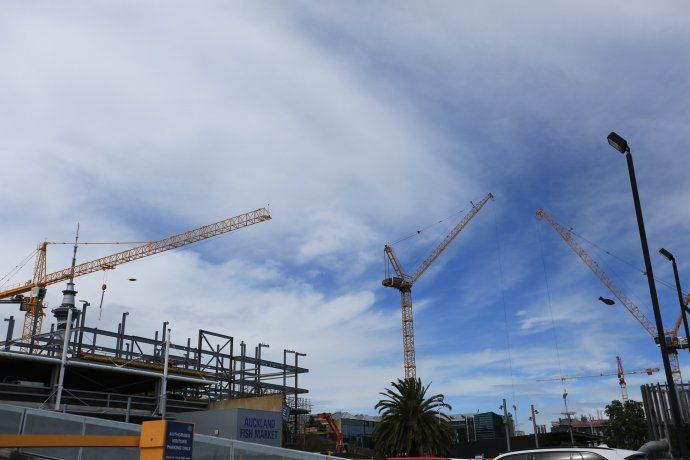 游新西兰奥克兰海鲜市场,吃超大龙虾、海胆和