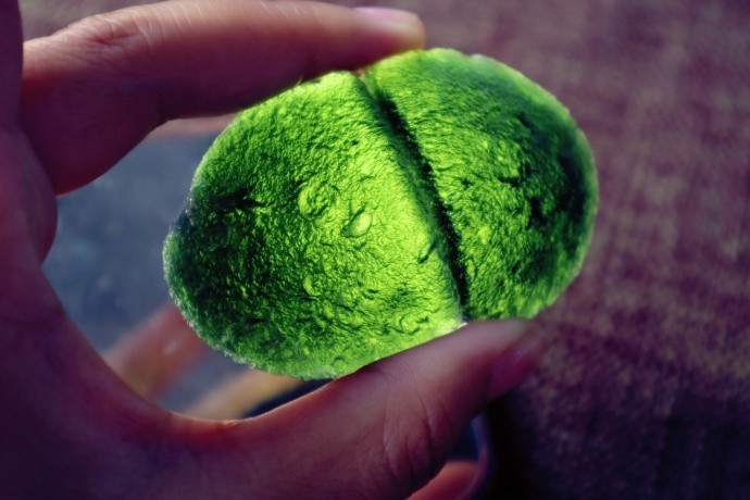 图解真假捷克陨石,多看之后也会分辨了。