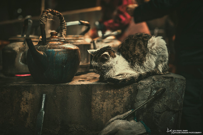 一日清闲一日仙,心无旁骛守孤窗。