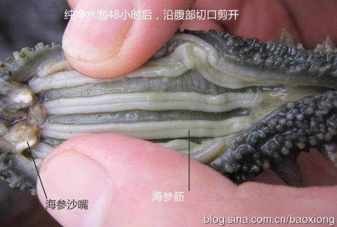 发跟着?茴香我的详细厨房来做,步骤小白也完胜核桃仁海参杜仲仔图片