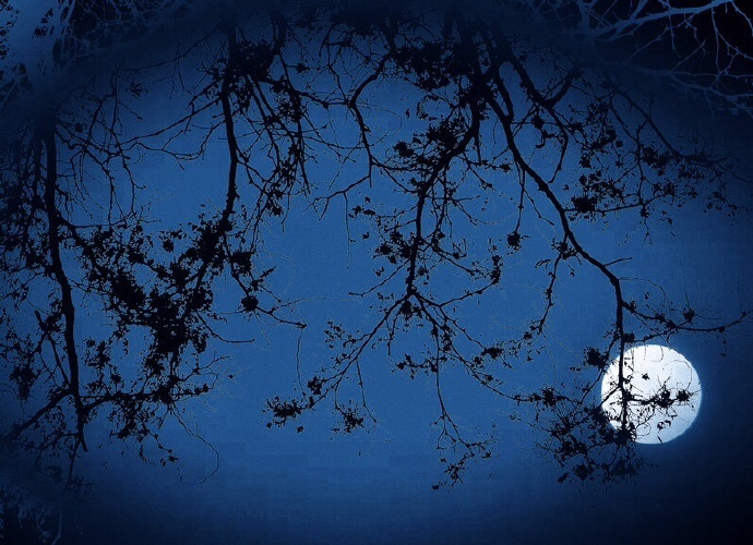 非花非雾前时见,满眼娇春。浅笑微颦。恨隔垂